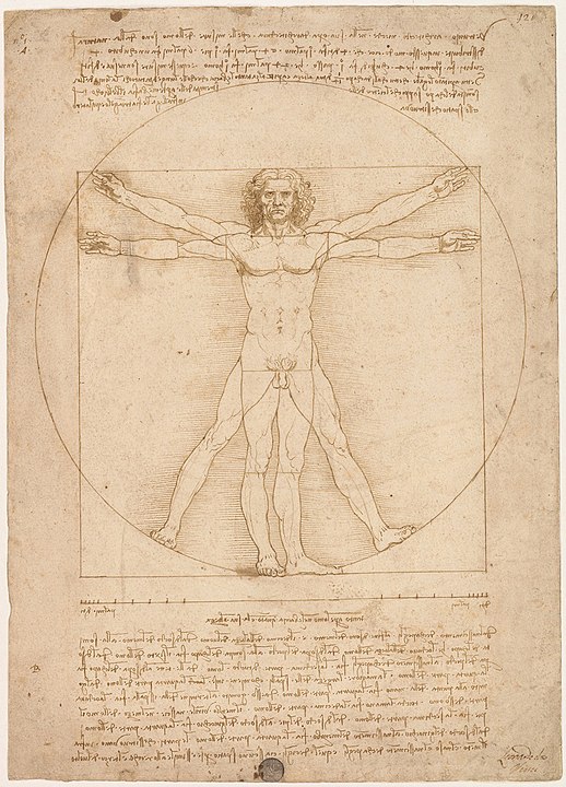 518px-Leonardo_da_Vinci_-_Uomo_vitruviano.jpg