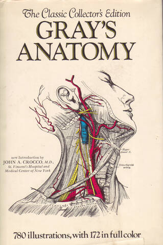 grays-anatomy.jpg