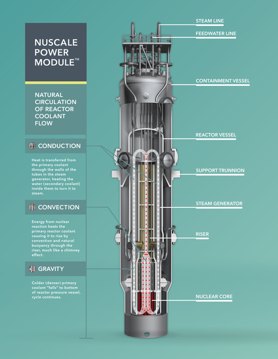 557px-Diagram_of_a_NuScale_reactor.png
