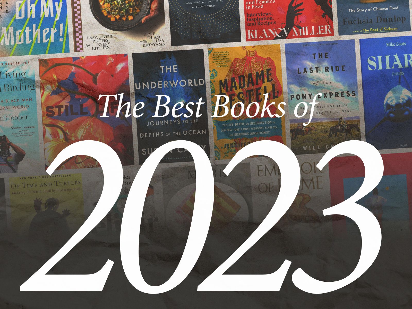 2023 年的全球书单