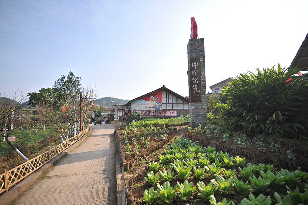 DSC_4097.jpg DSC_4097.jpg