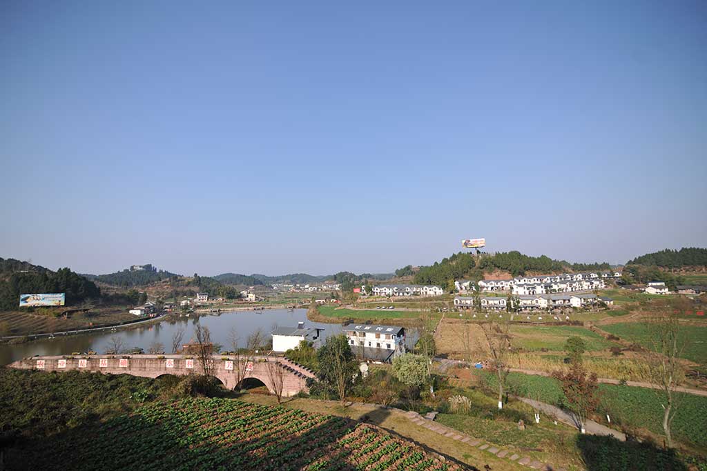 DSC_4107.jpg DSC_4107.jpg