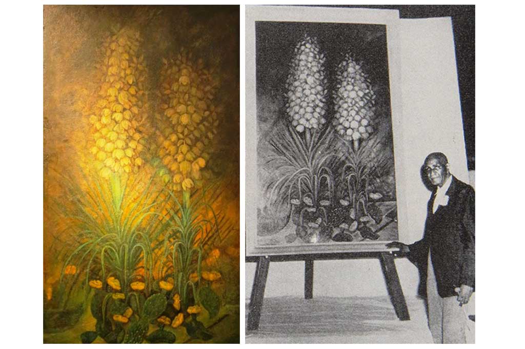 Yucca and Cactus Yucca and Cactus