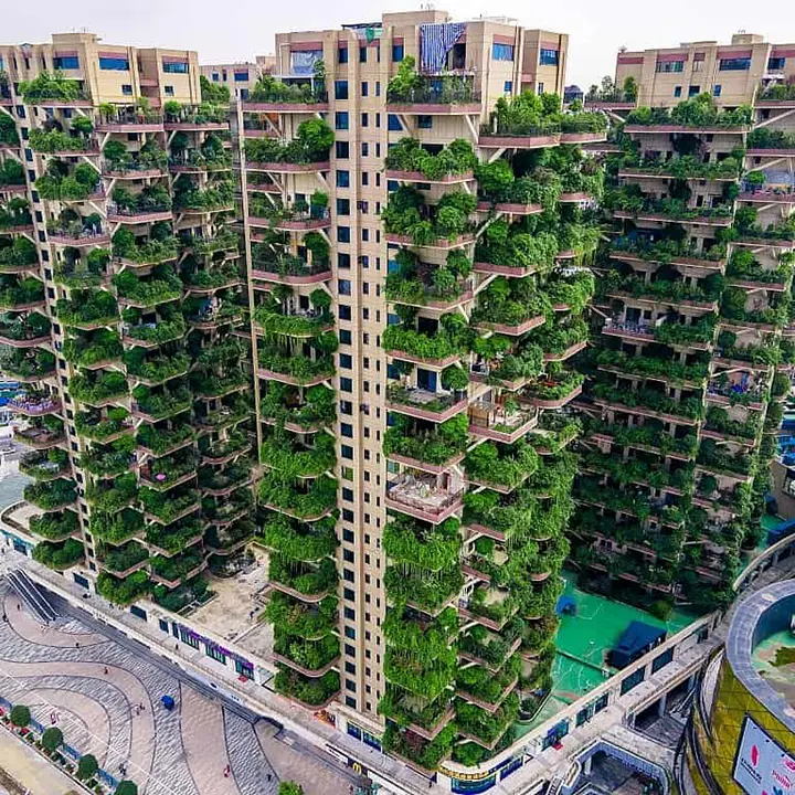 七一城市森林花园