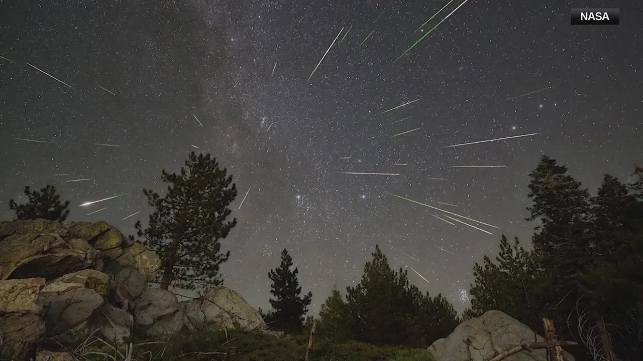 Perseids Meteor Shower